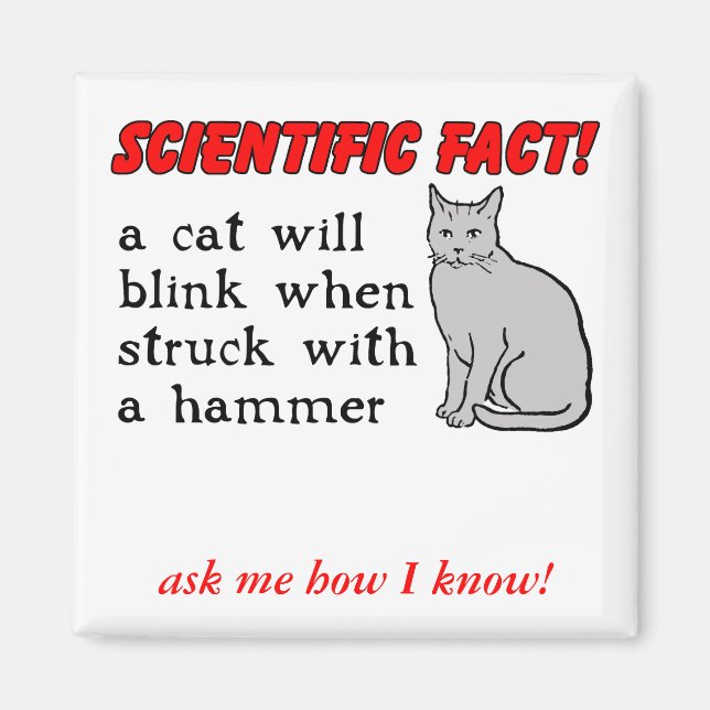 Íman Ímã Divertido Martelo de Gato Humor (Frente)
