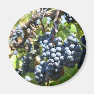 Íman Ímã do 15:5 de John do vinhedo das uvas