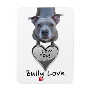 Íman Ímã do amor da intimidação de Pitbull