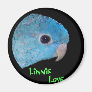 Íman Ímã do amor de Linnie
