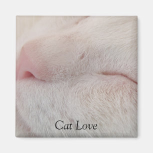 Íman Ímã do amor do gato