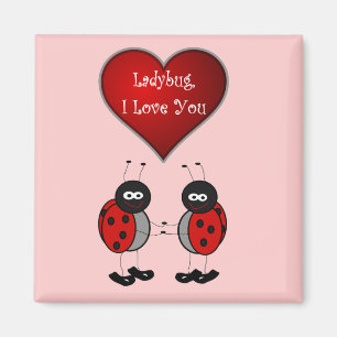 Íman Ímã do amor do joaninha