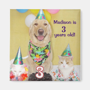 Íman Ímã do aniversário de 3 anos