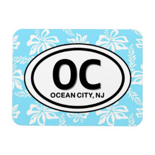 Íman Ímã do azul da cidade NJ do oceano de OC