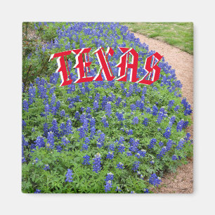 Íman Ímã do bluebonnet de Texas