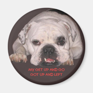 Íman Ímã do buldogue