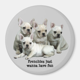 Íman Ímã do buldogue francês