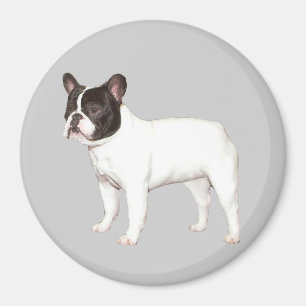 Íman Ímã do buldogue francês