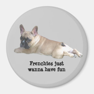 Íman Ímã do buldogue francês
