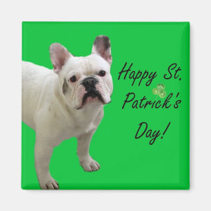 Íman Ímã do buldogue francês do dia de St Patrick fe