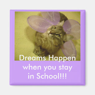 Íman ímã do cacifo