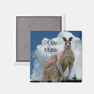 Íman Ímã do canguru