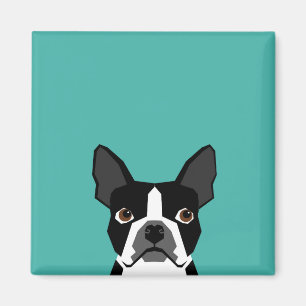 Íman Ímã do cão de Boston Terrier
