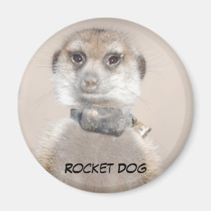 Íman Ímã do cão de Rocket
