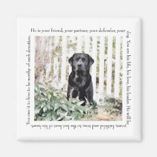 Íman Ímã do cão do jardim