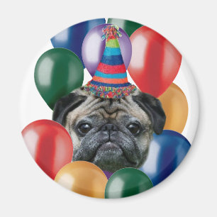 Íman Ímã do cão do Pug do feliz aniversario