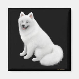 Íman Ímã do cão do Samoyed