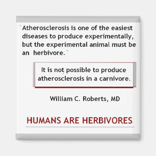 Íman Ímã do cardíaco de ataque