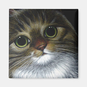 Íman Ímã do CAT de RACUM de MAINE