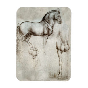 Íman Ímã do cavalo de da Vinci