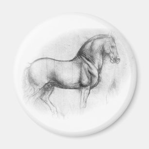 Íman Ímã do cavalo de Leonardo da Vinci