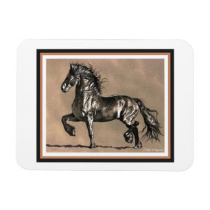 Íman Ímã do cavalo do frisão