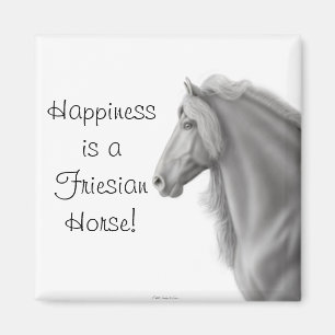 Íman Ímã do cavalo do frisão