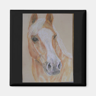 Íman ímã do cavalo do palomino