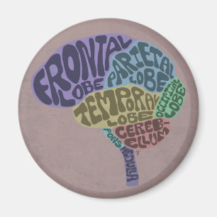 Íman Ímã do cérebro