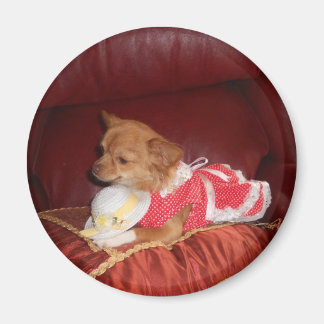 Íman ímã do chi partido