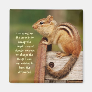 Íman Ímã do Chipmunk da oração da serenidade