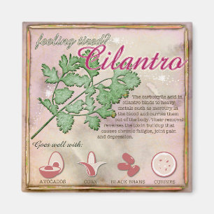 Íman Ímã do Cilantro