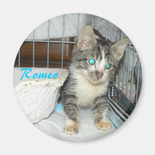 Íman ímã do círculo de romeo