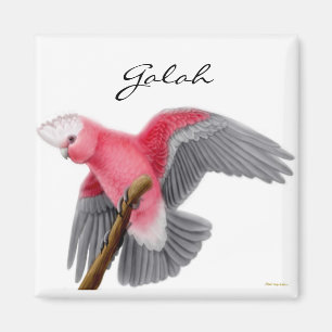 Íman Ímã do Cockatoo de Galah