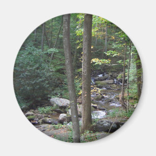 Íman Ímã do córrego da floresta