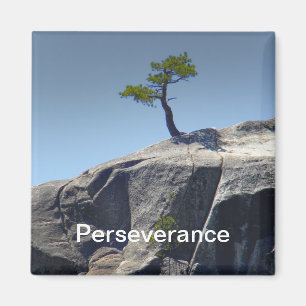 Íman Ímã do ~ da perseverança