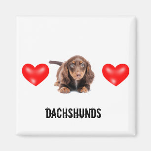 Íman Ímã do Dachshund