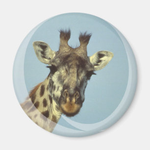 Íman Ímã do design do girafa