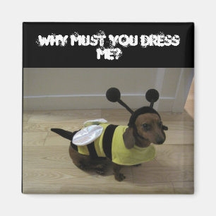 Íman Ímã do Dia das Bruxas do cão de Weiner