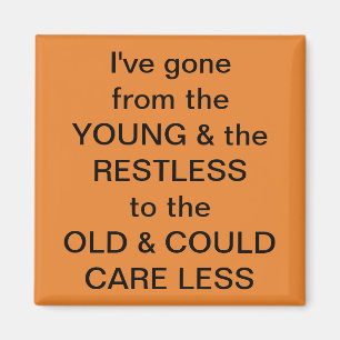 Íman Ímã do divertimento de Frig