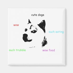 Íman Ímã do Doge