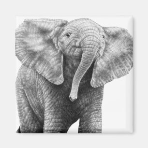 Íman Ímã do elefante africano do bebê