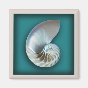 Íman Ímã do escudo do nautilus