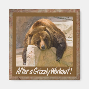 Íman Ímã do exercício do urso