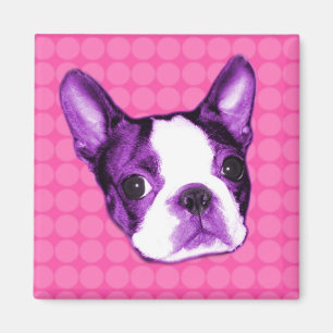 Íman Ímã do filhote de cachorro de Boston Terrier das