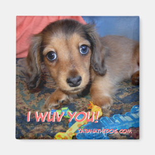 Íman Ímã do filhote de cachorro de TatianaTheDog - I