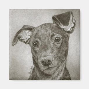 Íman Ímã do filhote de cachorro do galgo - "Waffle "
