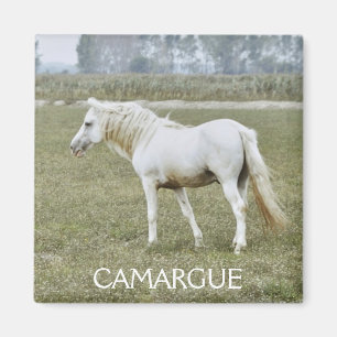 Íman Ímã do garanhão de Camargue