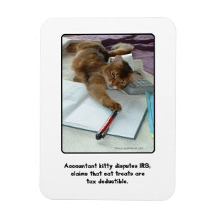 Íman Ímã do gatinho do contador