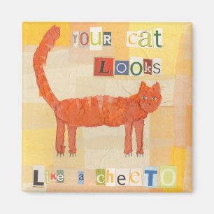 Íman Ímã do gato de Cheeto